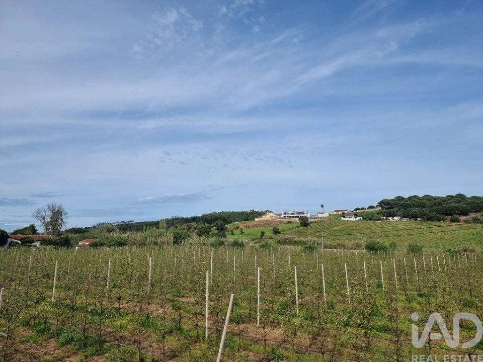 Terreno para Venda em Bombarral e Vale Covo Foto 13