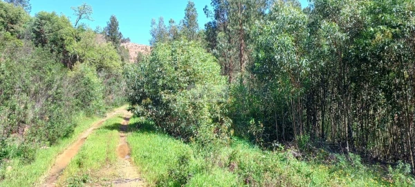 Terreno para Venda em Aljezur