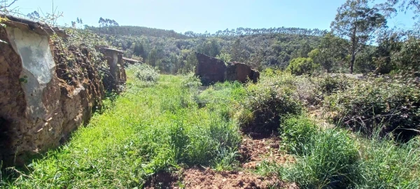 Terreno para Venda em Aljezur