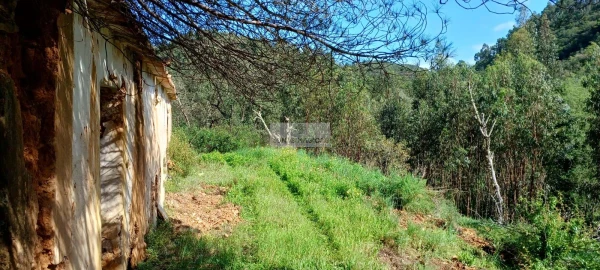 Terreno para Venda em Aljezur