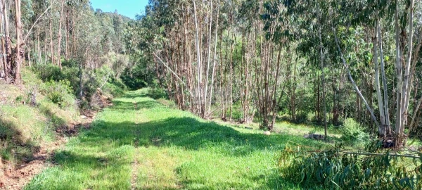 Terreno para Venda em Aljezur