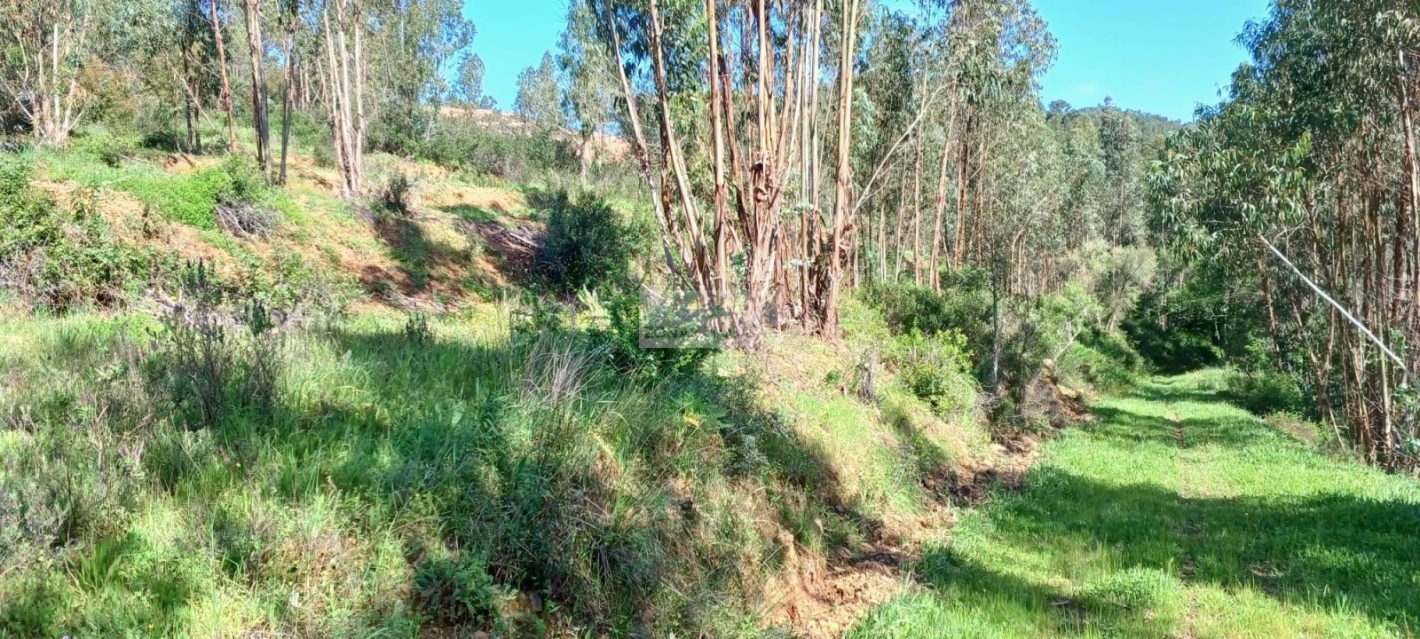 Terreno para Venda em Aljezur Foto 9
