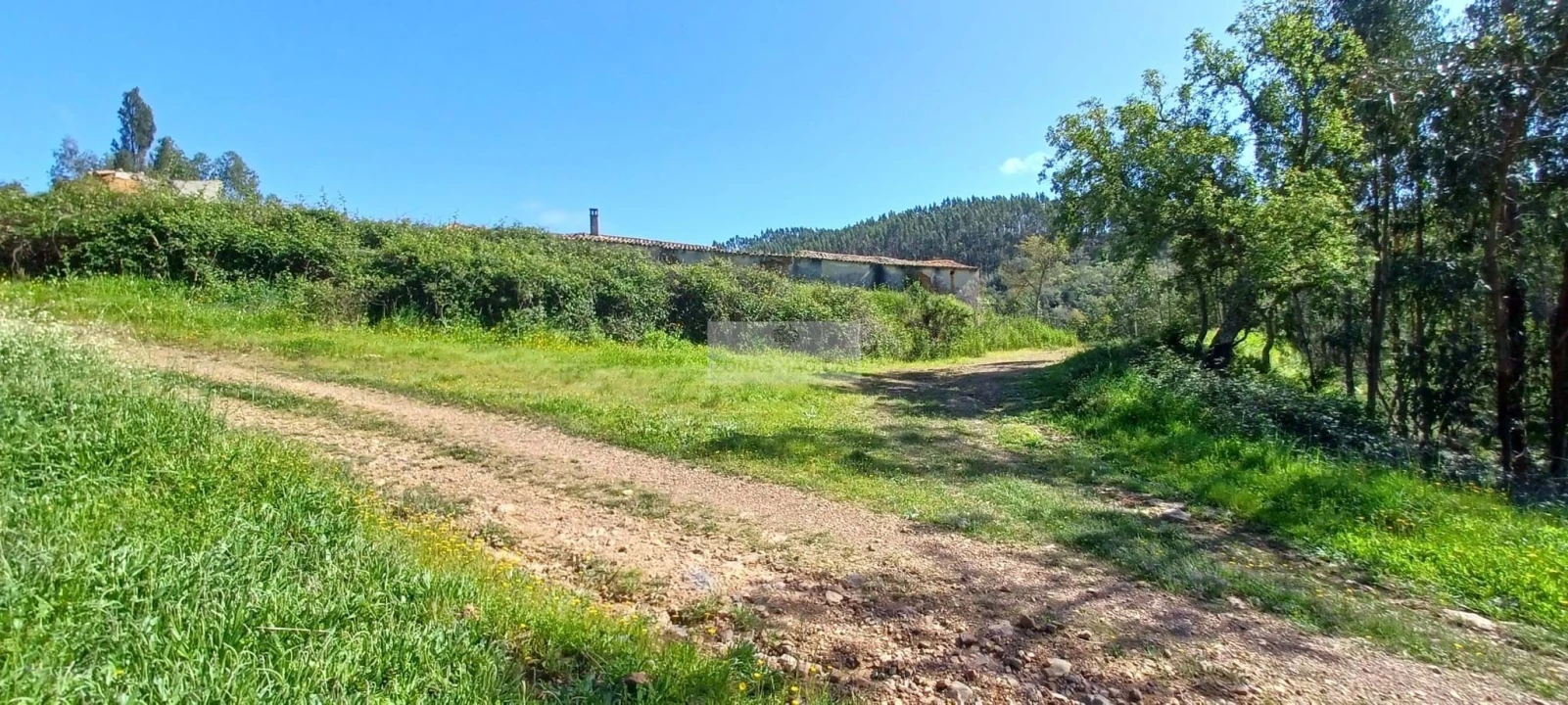 Terreno para Venda em Aljezur Foto 17