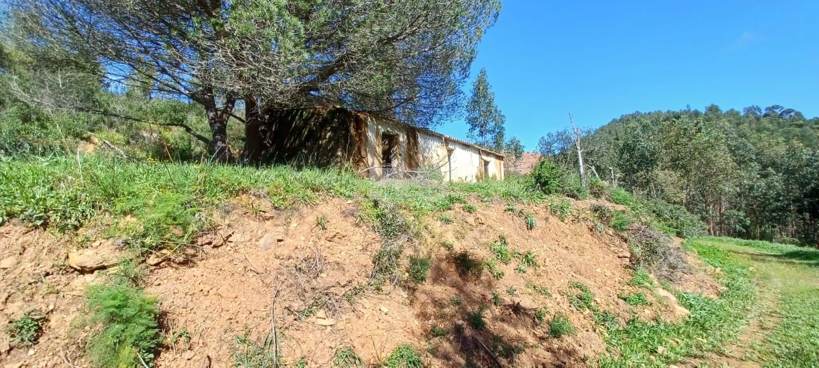 Terreno para Venda em Aljezur Foto 15