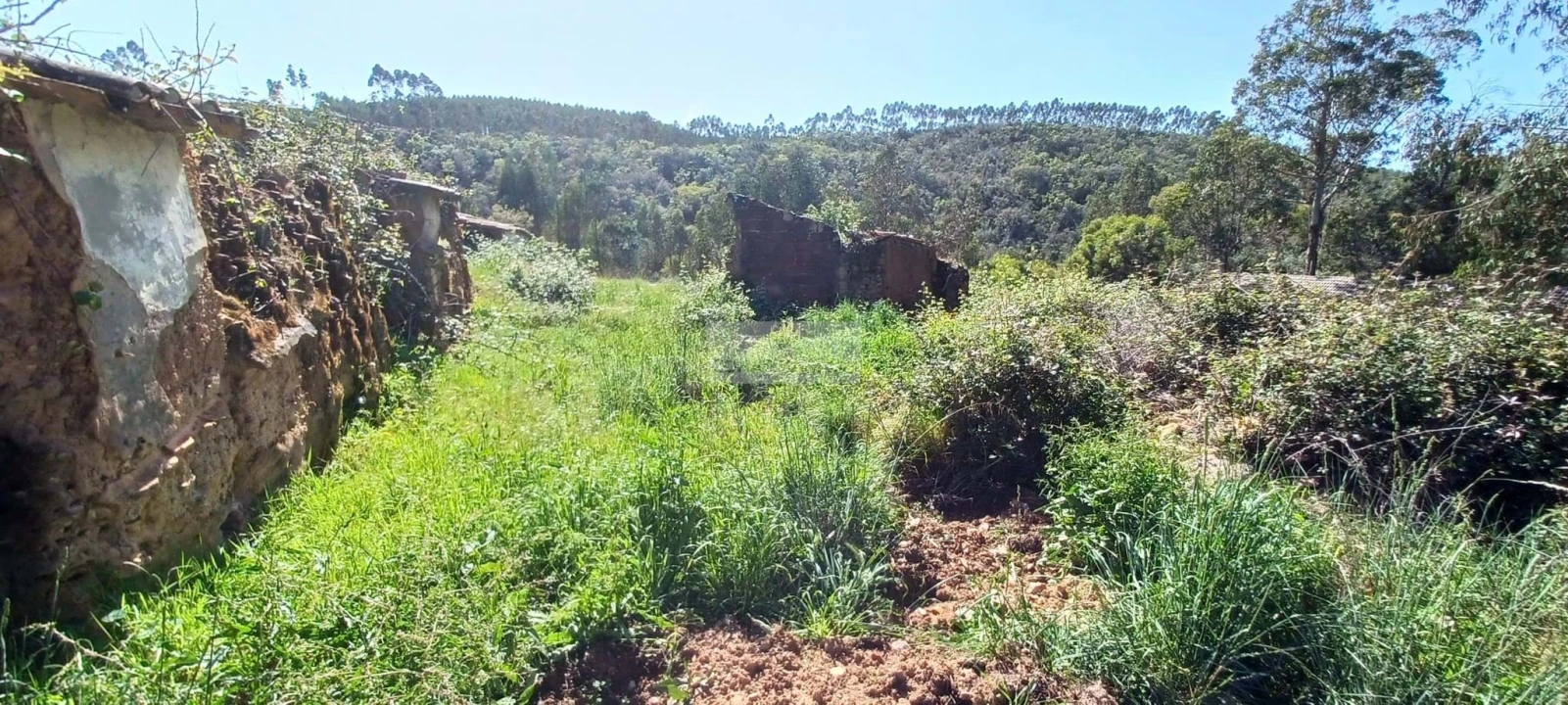 Terreno para Venda em Aljezur Foto 23