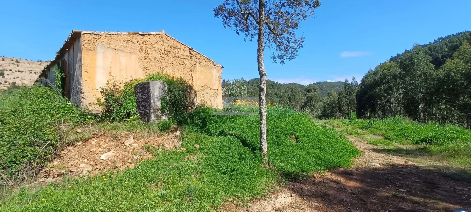 Terreno para Venda em Aljezur Foto 1