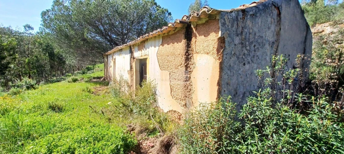 Terreno para Venda em Aljezur Foto 3