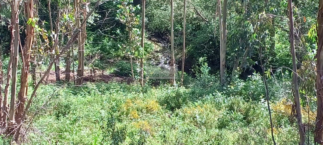 Terreno para Venda em Aljezur Foto 11