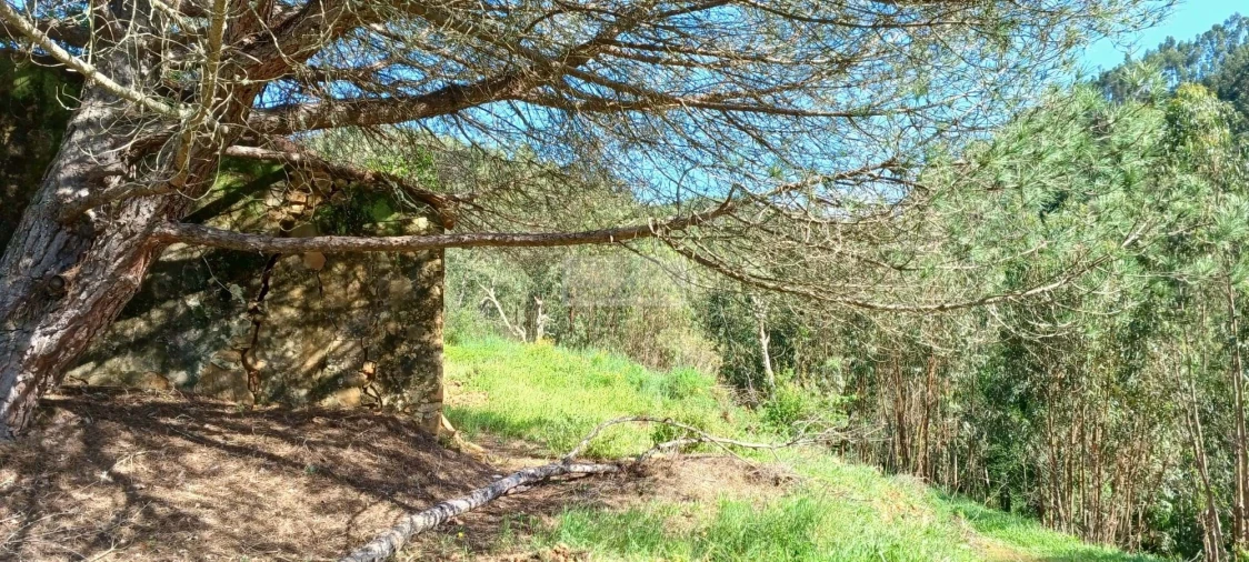 Terreno para Venda em Aljezur Foto 4