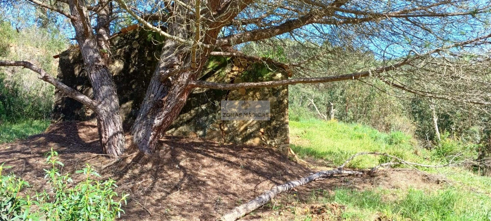 Terreno para Venda em Aljezur Foto 5