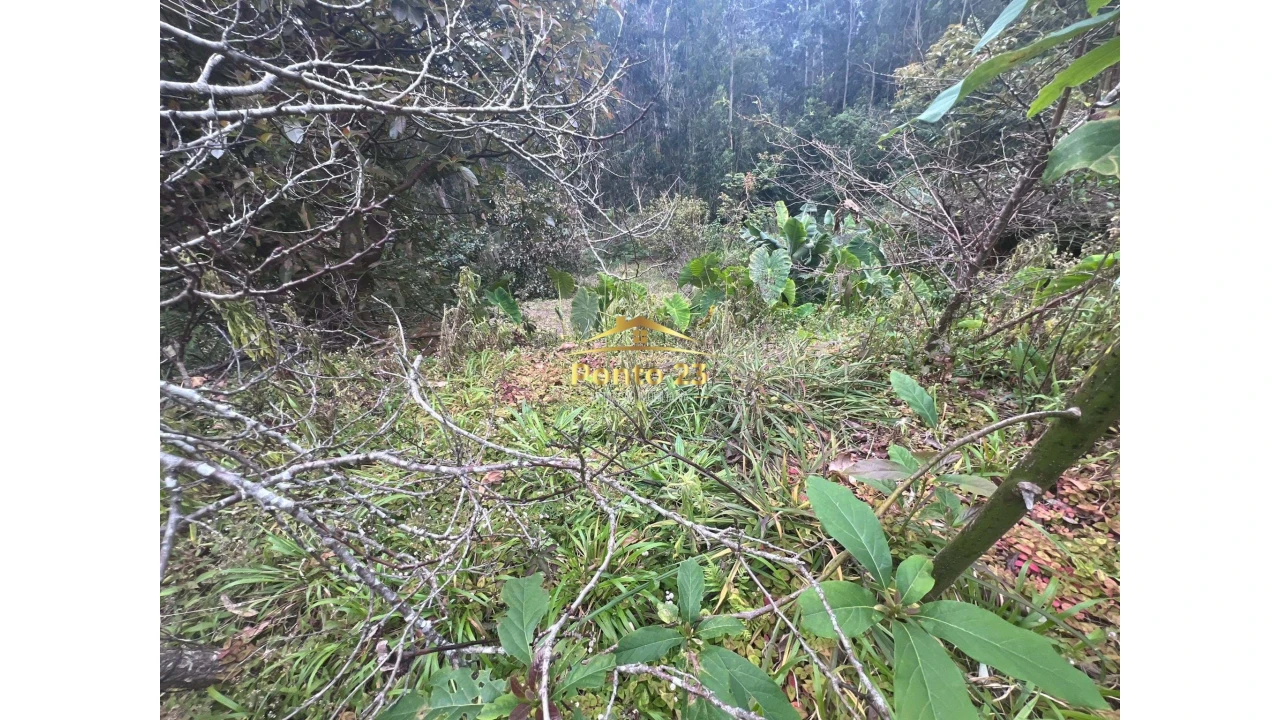 Terreno para Venda em Arco de São Jorge Foto 7
