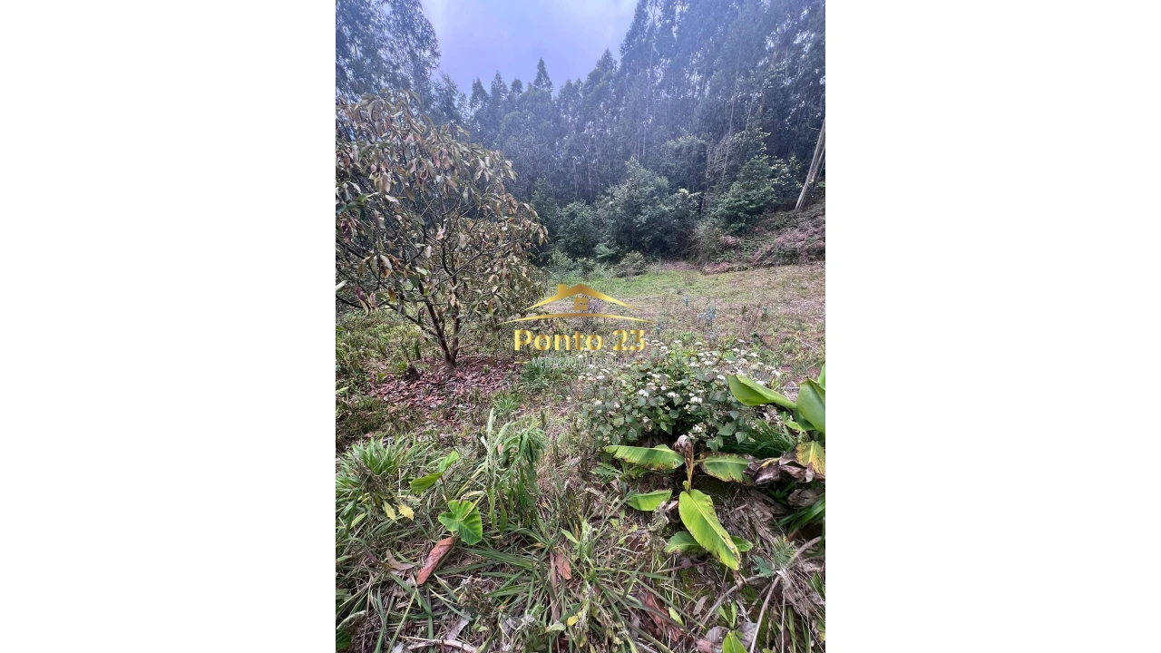 Terreno para Venda em Arco de São Jorge Foto 13