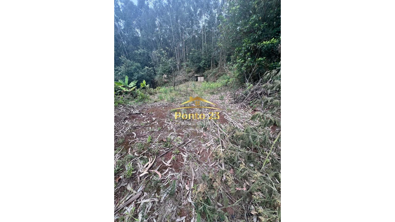 Terreno para Venda em Arco de São Jorge Foto 8