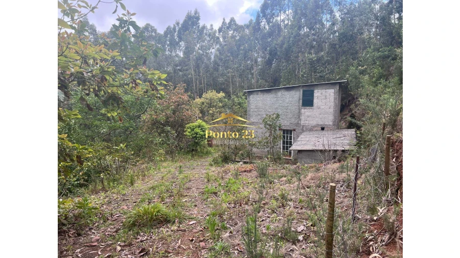 Terreno para Venda em Arco de São Jorge Foto 11