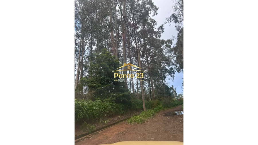 Terreno para Venda em Arco de São Jorge Foto 14