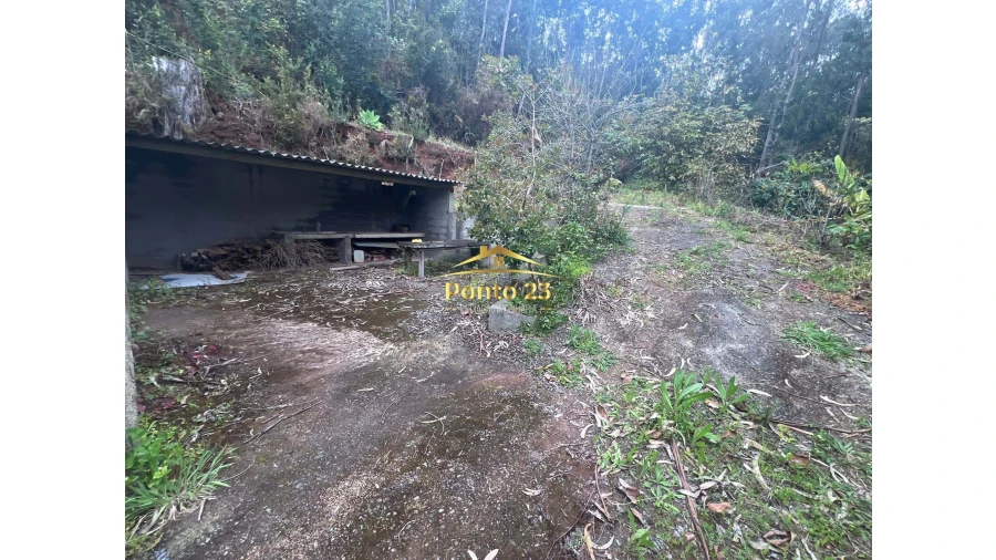 Terreno para Venda em Arco de São Jorge