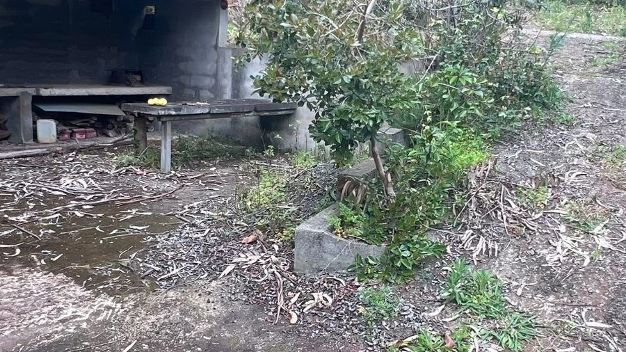 Terreno para Venda em Arco de São Jorge