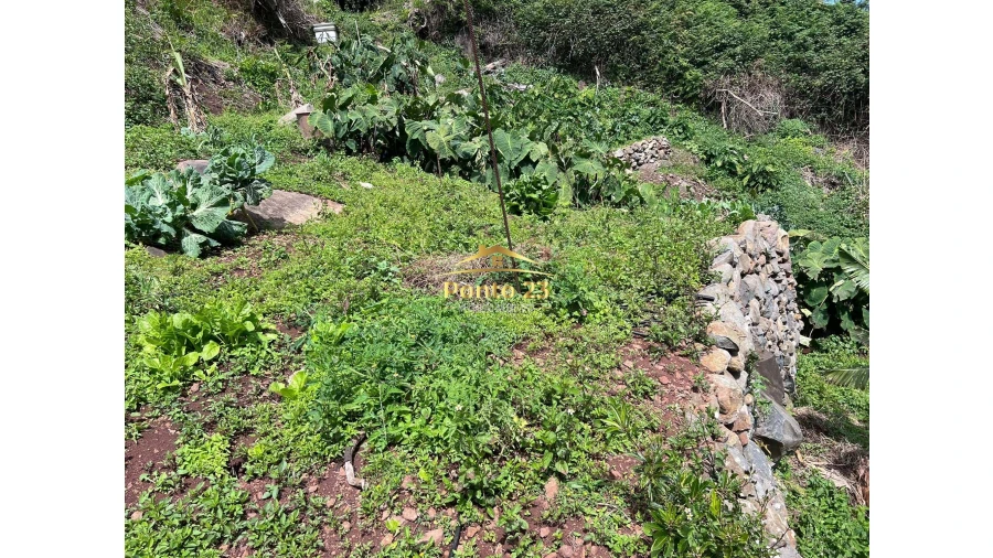 Terreno para Venda em Arco de São Jorge Foto 18