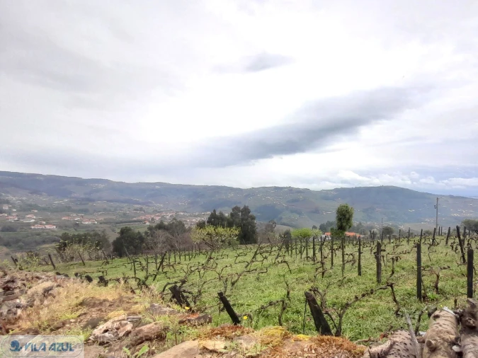 Terreno Misto para Venda em Vila Marim Foto 2