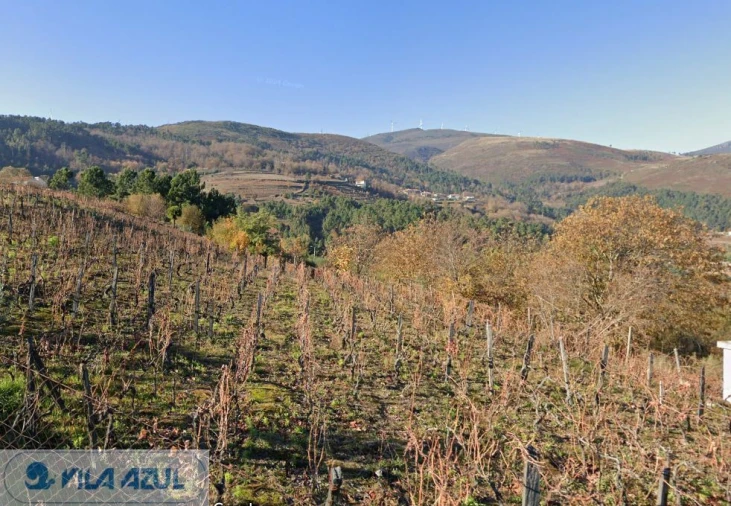 Terreno Misto para Venda em Vila Marim Foto 7