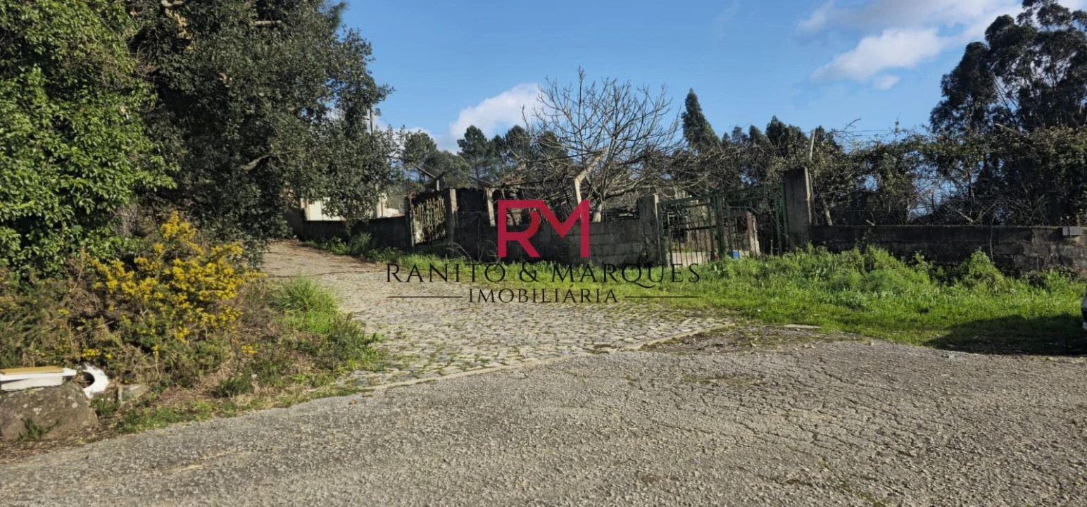 Terreno Misto para Venda em Valongo Foto 3