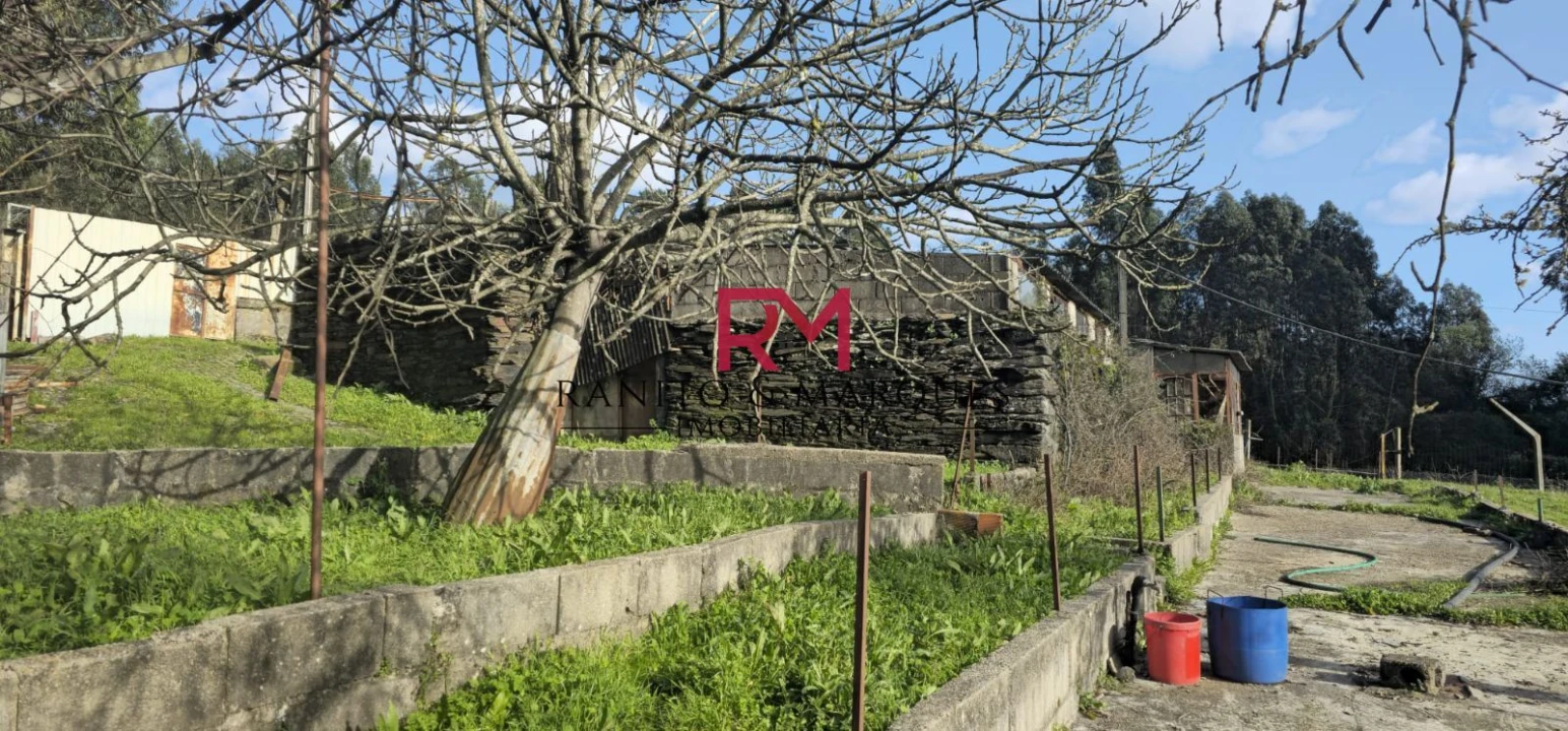 Terreno Misto para Venda em Valongo Foto 4