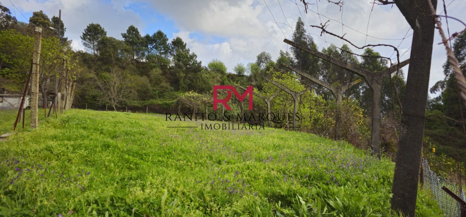 Terreno Misto para Venda em Valongo Foto 5