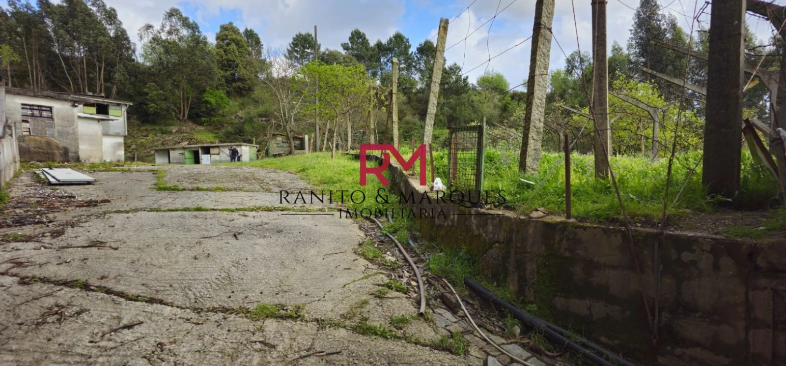 Terreno Misto para Venda em Valongo Foto 8