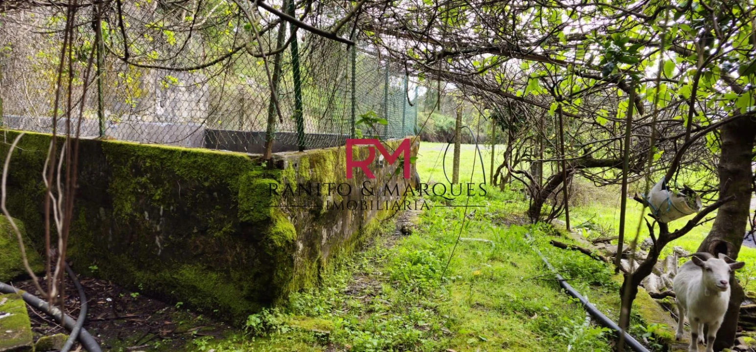 Terreno Misto para Venda em Valongo Foto 13
