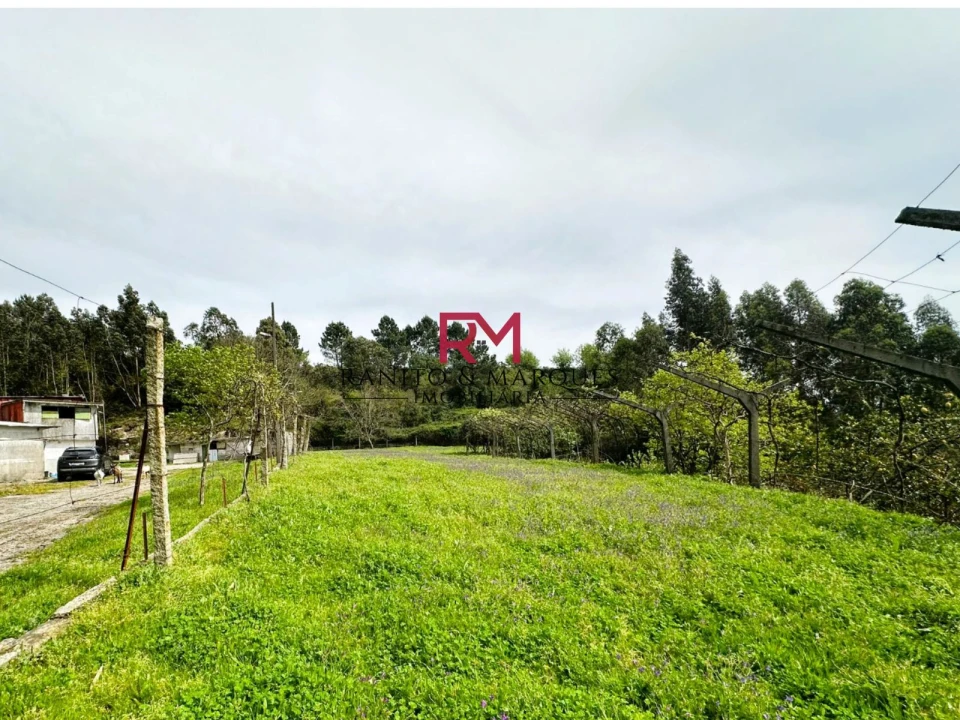 Terreno Misto para Venda em Valongo Foto 9