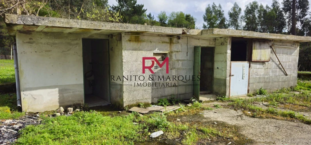 Terreno Misto para Venda em Valongo Foto 10