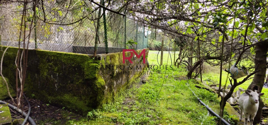Terreno Misto para Venda em Valongo Foto 13