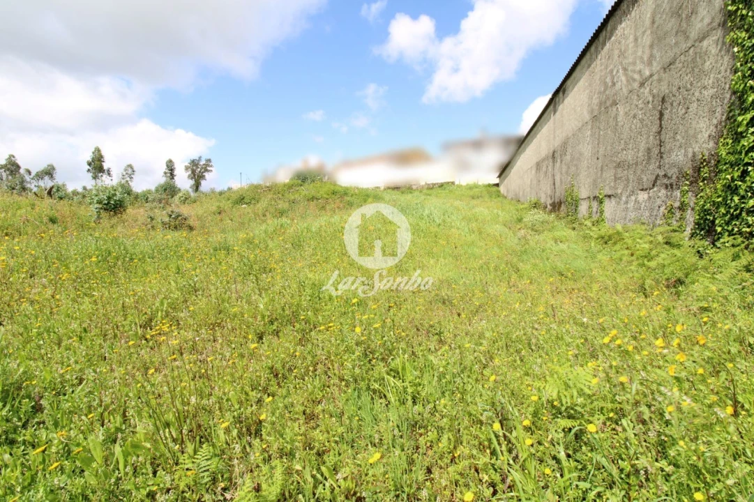 Terreno para Venda em Bougado (São Martinho e Santiago) Foto 5