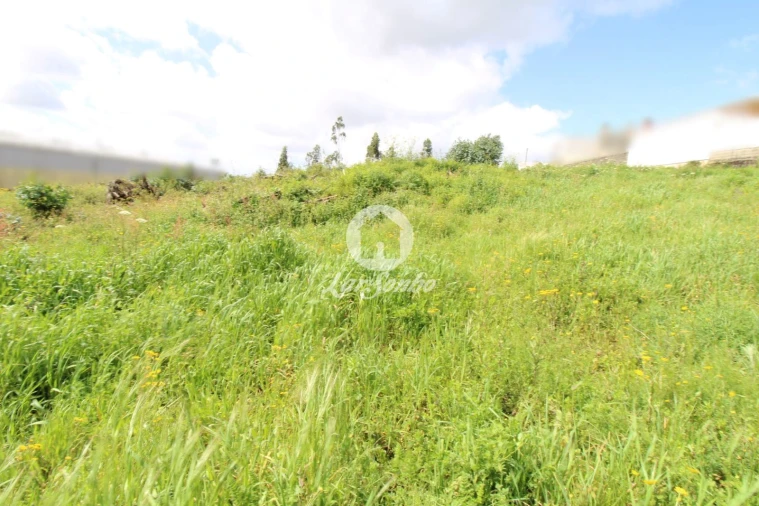 Terreno para Venda em Bougado (São Martinho e Santiago) Foto 1