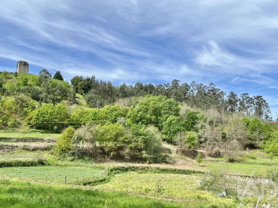 Terreno para Venda em Vouzela e Paços de Vilharigues Foto 17