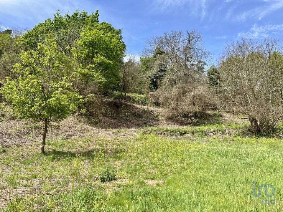 Terreno para Venda em Vouzela e Paços de Vilharigues Foto 13