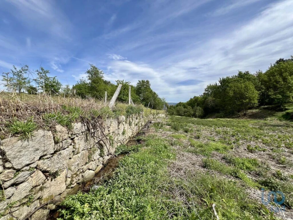 Terreno para Venda em Vouzela e Paços de Vilharigues Foto 11