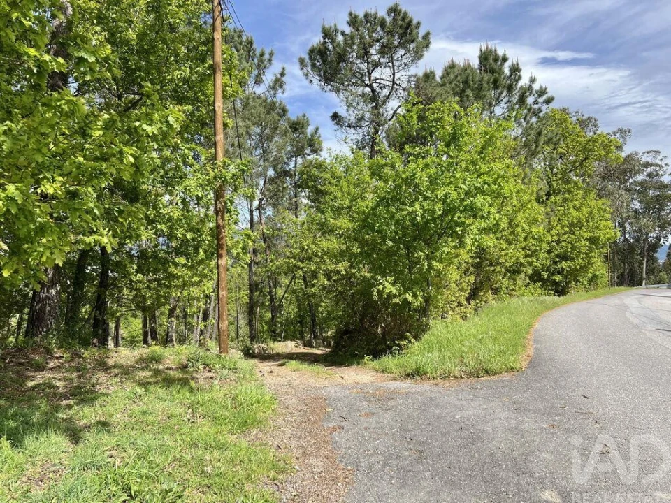 Terreno para Venda em Vouzela e Paços de Vilharigues Foto 19
