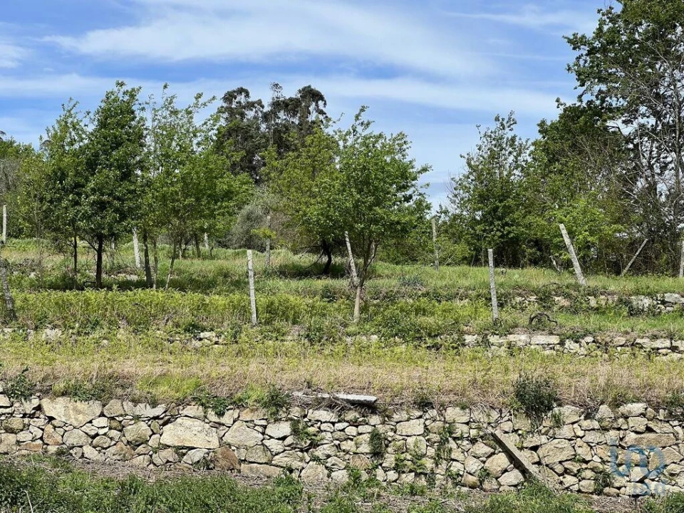 Terreno para Venda em Vouzela e Paços de Vilharigues Foto 15