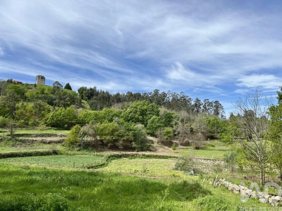 Terreno para Venda em Vouzela e Paços de Vilharigues Foto 16