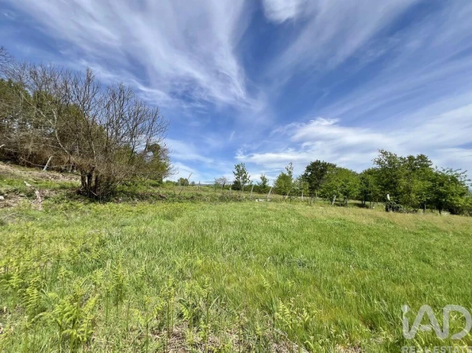 Terreno para Venda em Vouzela e Paços de Vilharigues Foto 22