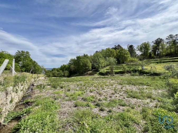 Terreno para Venda em Vouzela e Paços de Vilharigues Foto 12