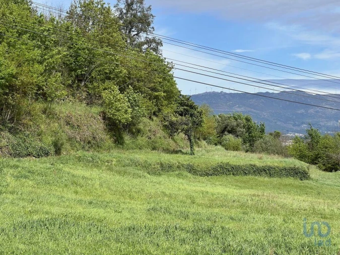 Terreno para Venda em Vouzela e Paços de Vilharigues Foto 6