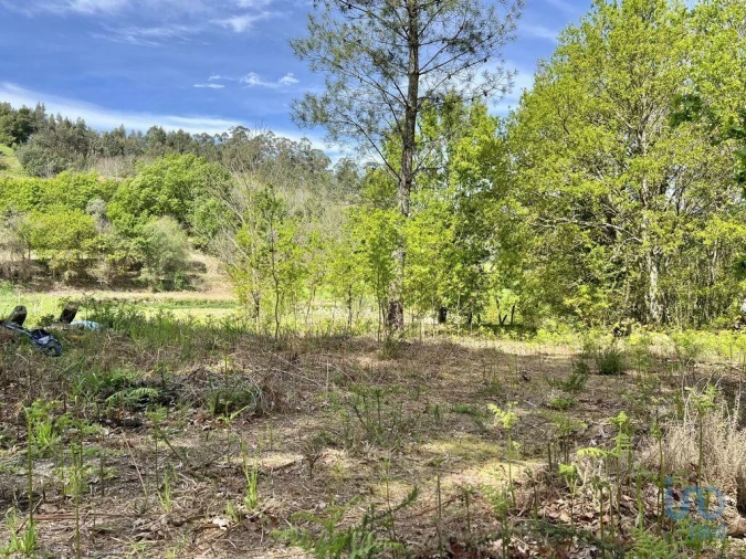 Terreno para Venda em Vouzela e Paços de Vilharigues Foto 7