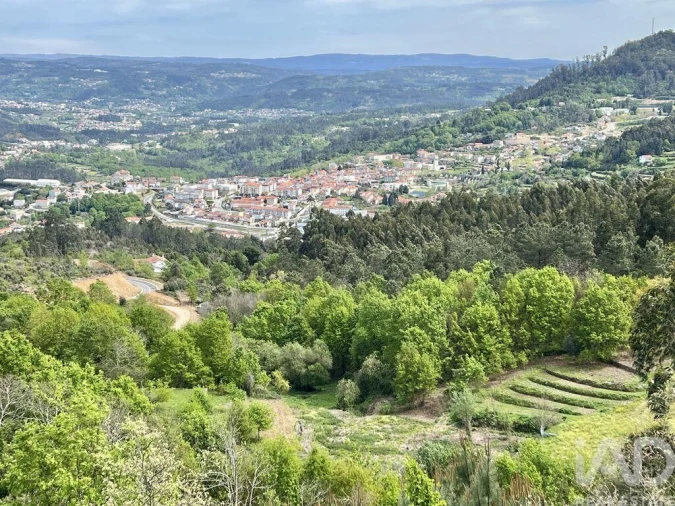 Terreno para Venda em Vouzela e Paços de Vilharigues Foto 18
