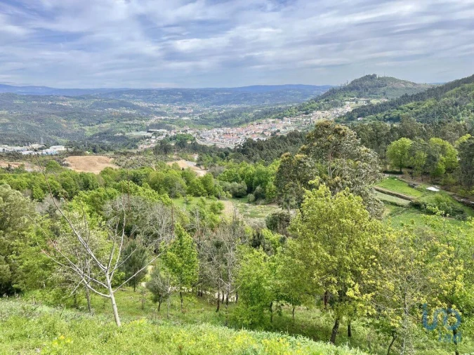 Terreno para Venda em Vouzela e Paços de Vilharigues Foto 1