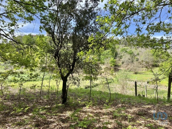 Terreno para Venda em Vouzela e Paços de Vilharigues Foto 10