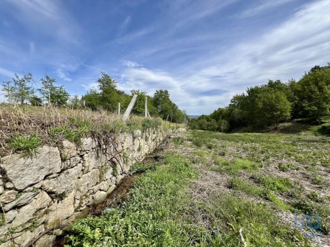 Terreno para Venda em Vouzela e Paços de Vilharigues Foto 11