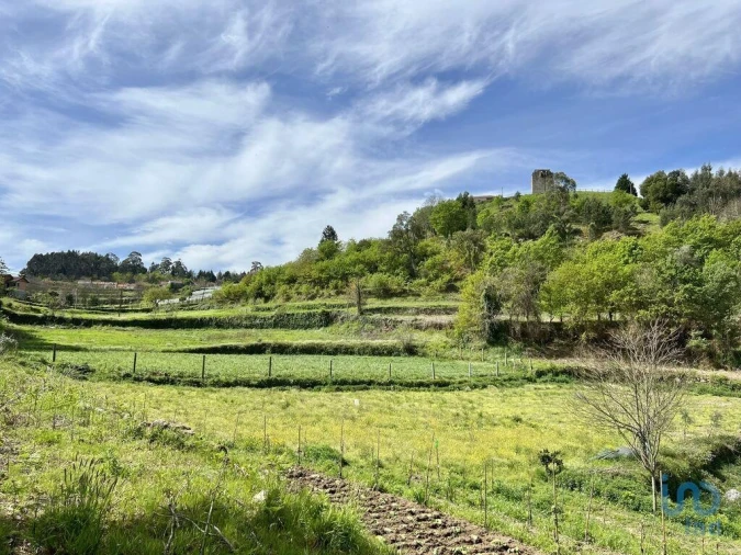 Terreno para Venda em Vouzela e Paços de Vilharigues Foto 8