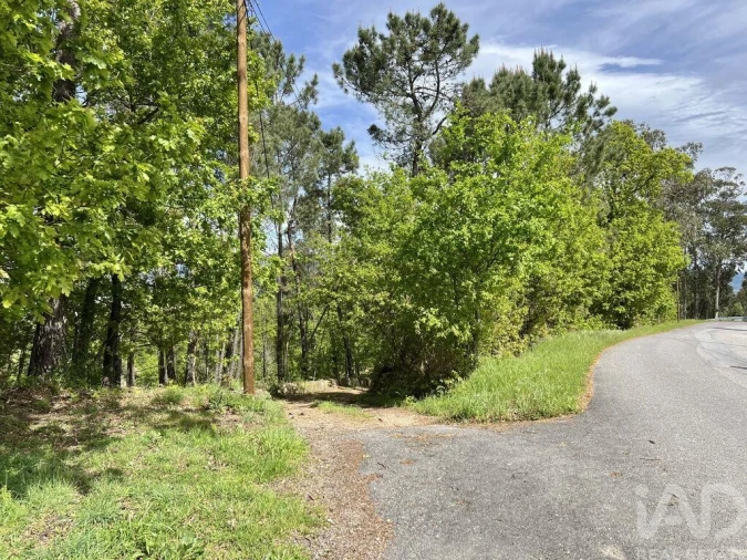 Terreno para Venda em Vouzela e Paços de Vilharigues Foto 19